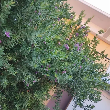 Appartamento Myrtia Sými