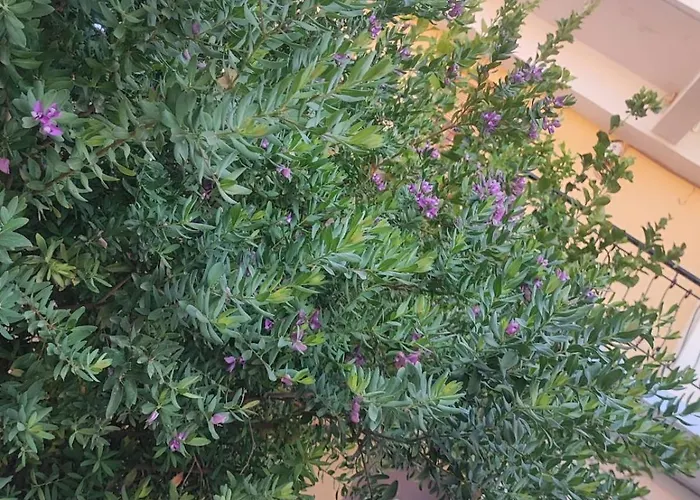 شقة Myrtia سيمي